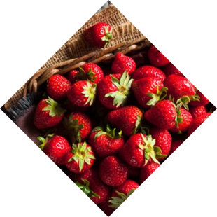 Food Processing1