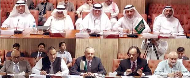 Adviser meeting with Saudi Deputy Minister of Energy
