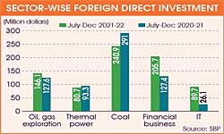 Foreign direct investment increases 20pc in July-December