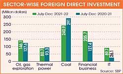 Foreign direct investment increases 20pc in July-December
